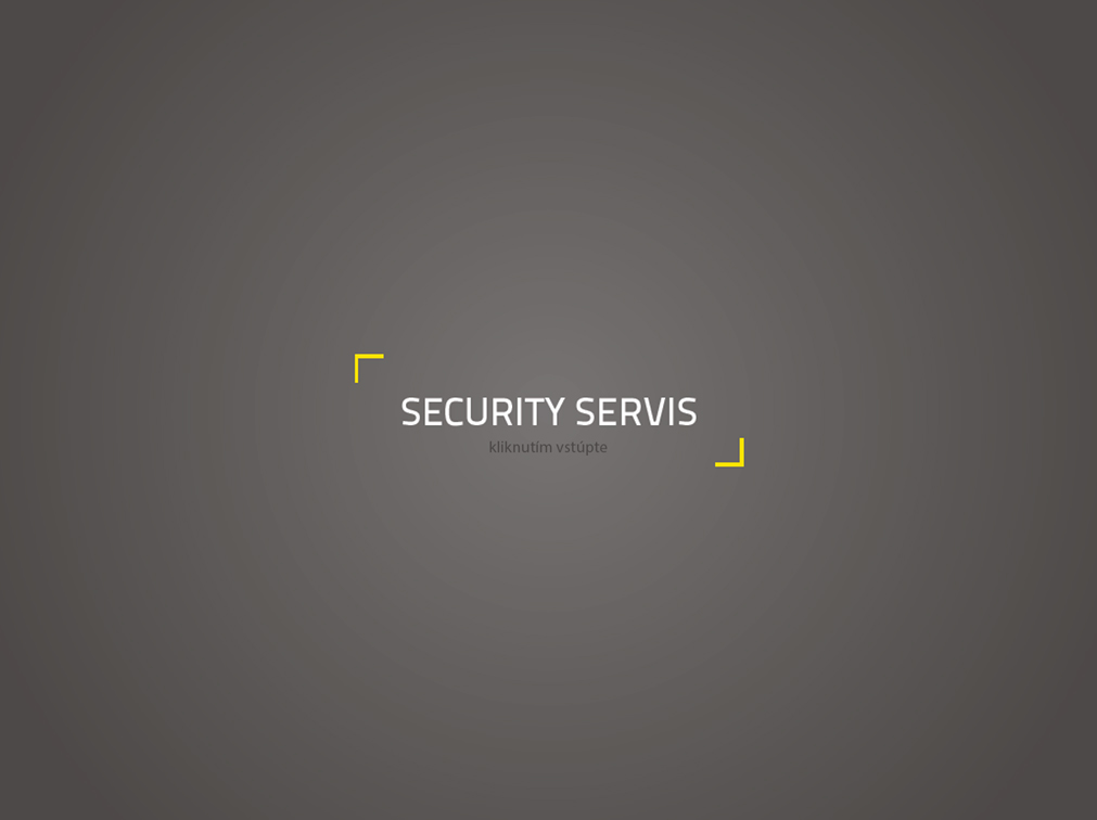 security servis